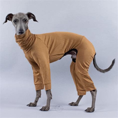 greyhound soap2day
